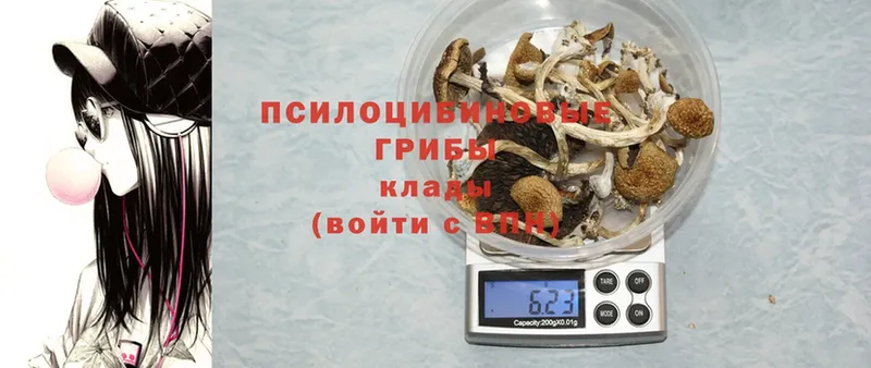 где купить наркоту  omg сайт  Псилоцибиновые грибы MAGIC MUSHROOMS  Жирновск 